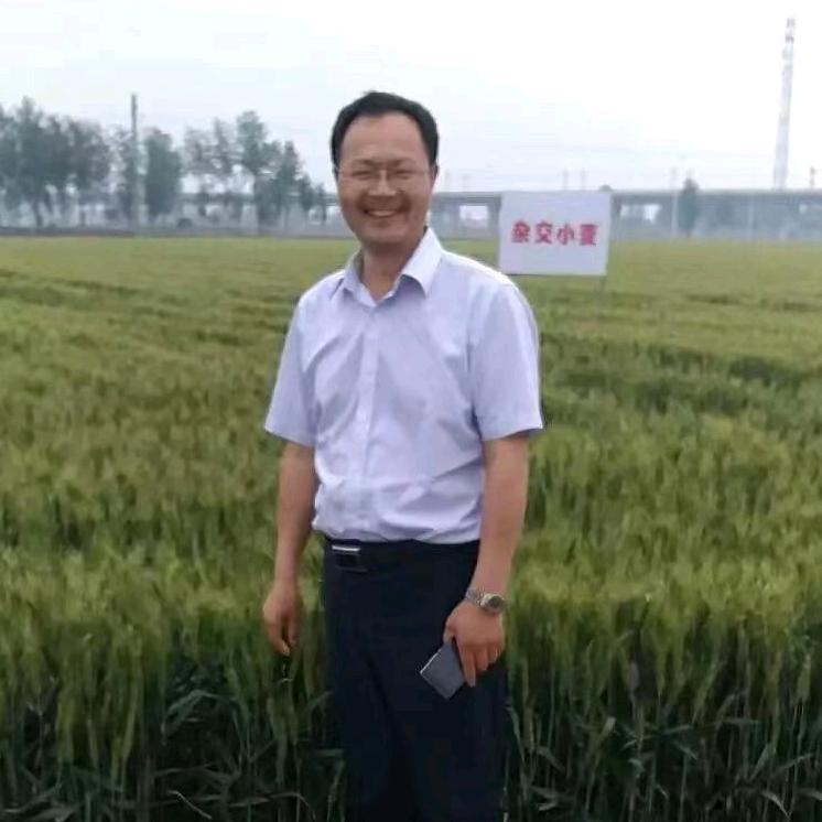 付胜军