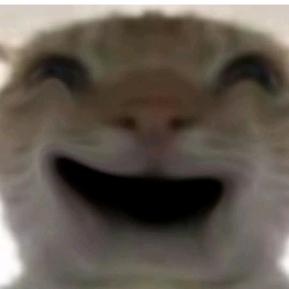 锅包