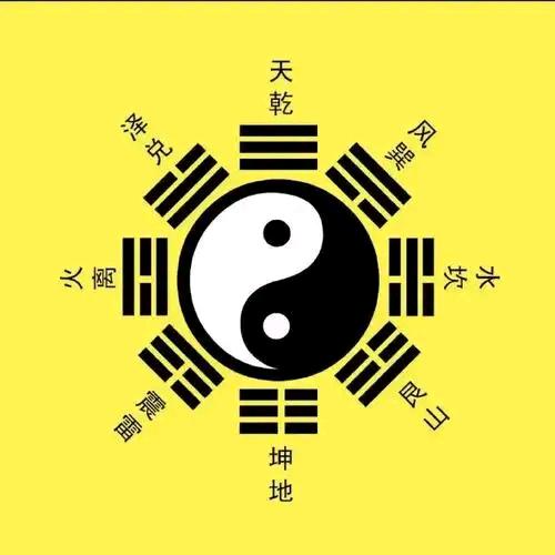 宋飞阳