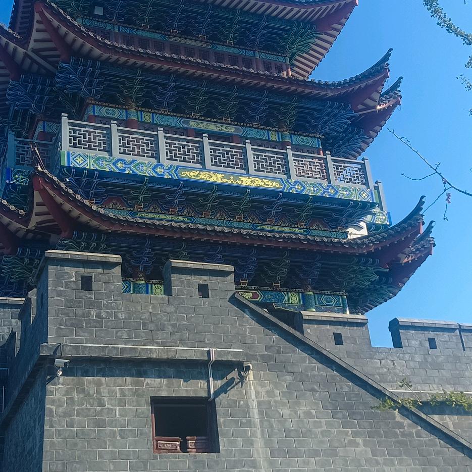 刘总