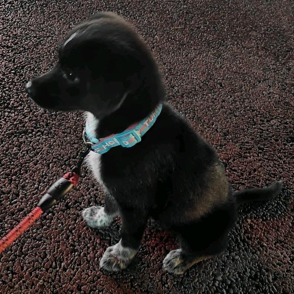 我系吾悦呀_（五月）