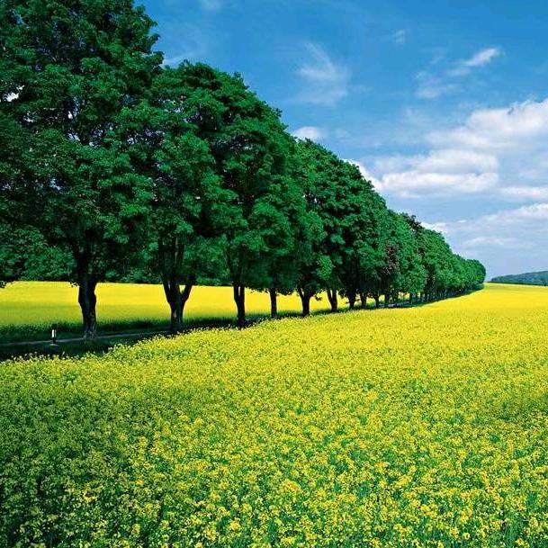 山川流水