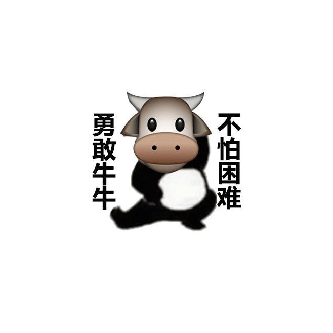 猫猫优选
