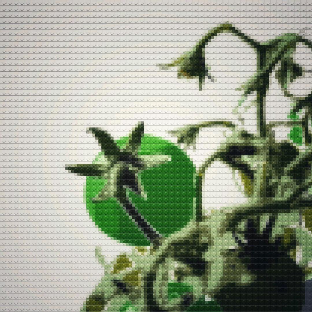 绿番茄Green tomato