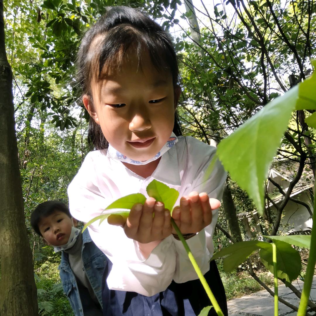 农民舞者廖林根