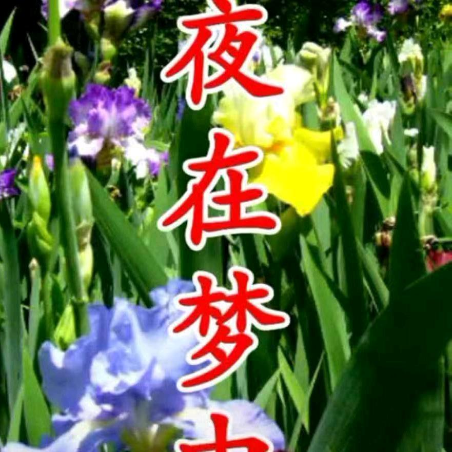 陈哥，