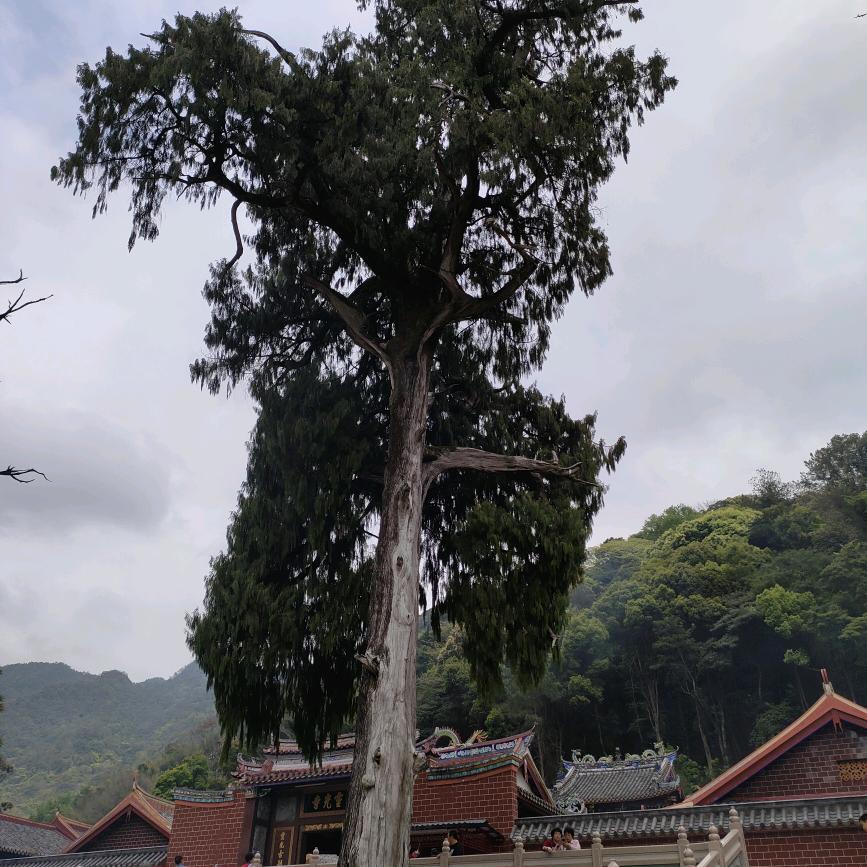 相约九月