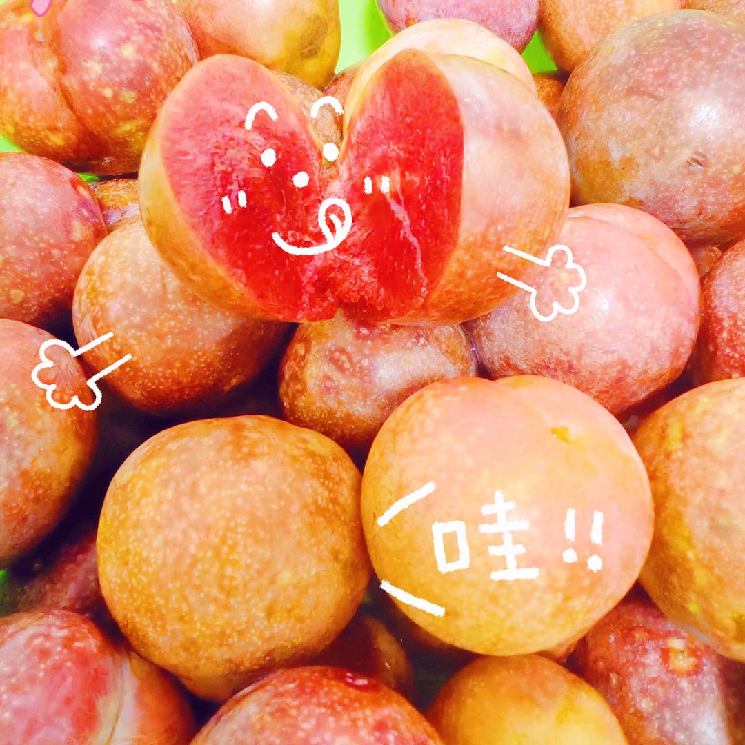 小雅爱帅哥