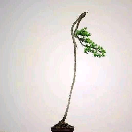 0️⃣3️⃣1️⃣0️⃣