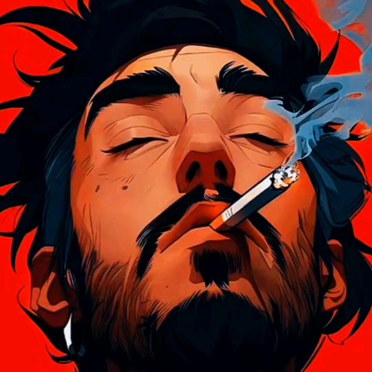 👑法🌟官☀️