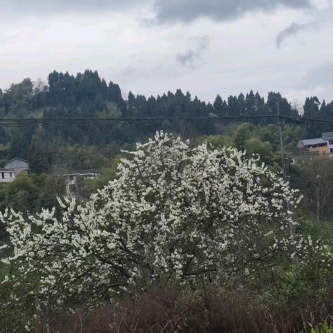 60后开心姐姐