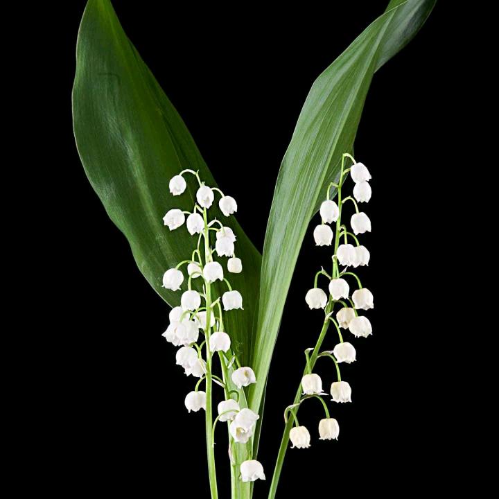 好累，但说不出口