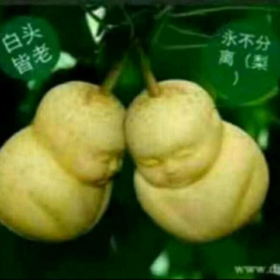 一生平安