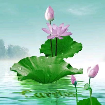 汝南阳光果园(建业店)