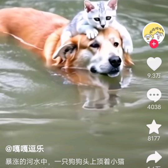 玖玖