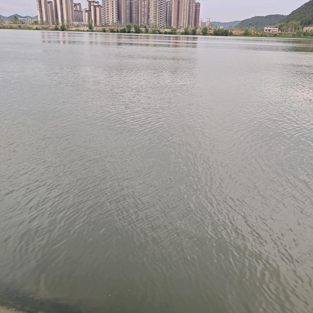 清清
