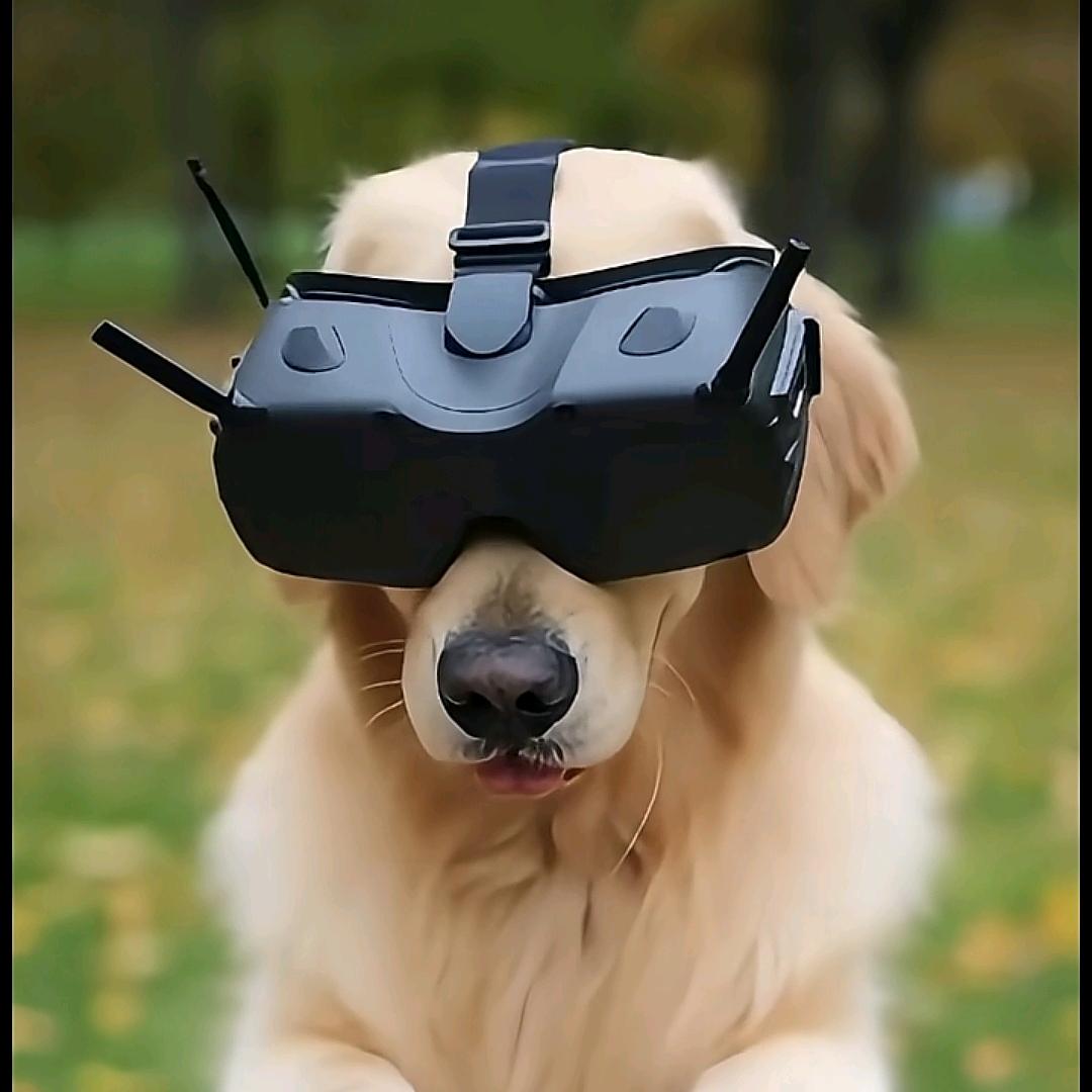 暴风FPV