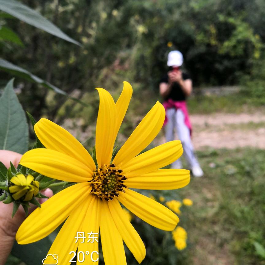 @小伍        拒聊