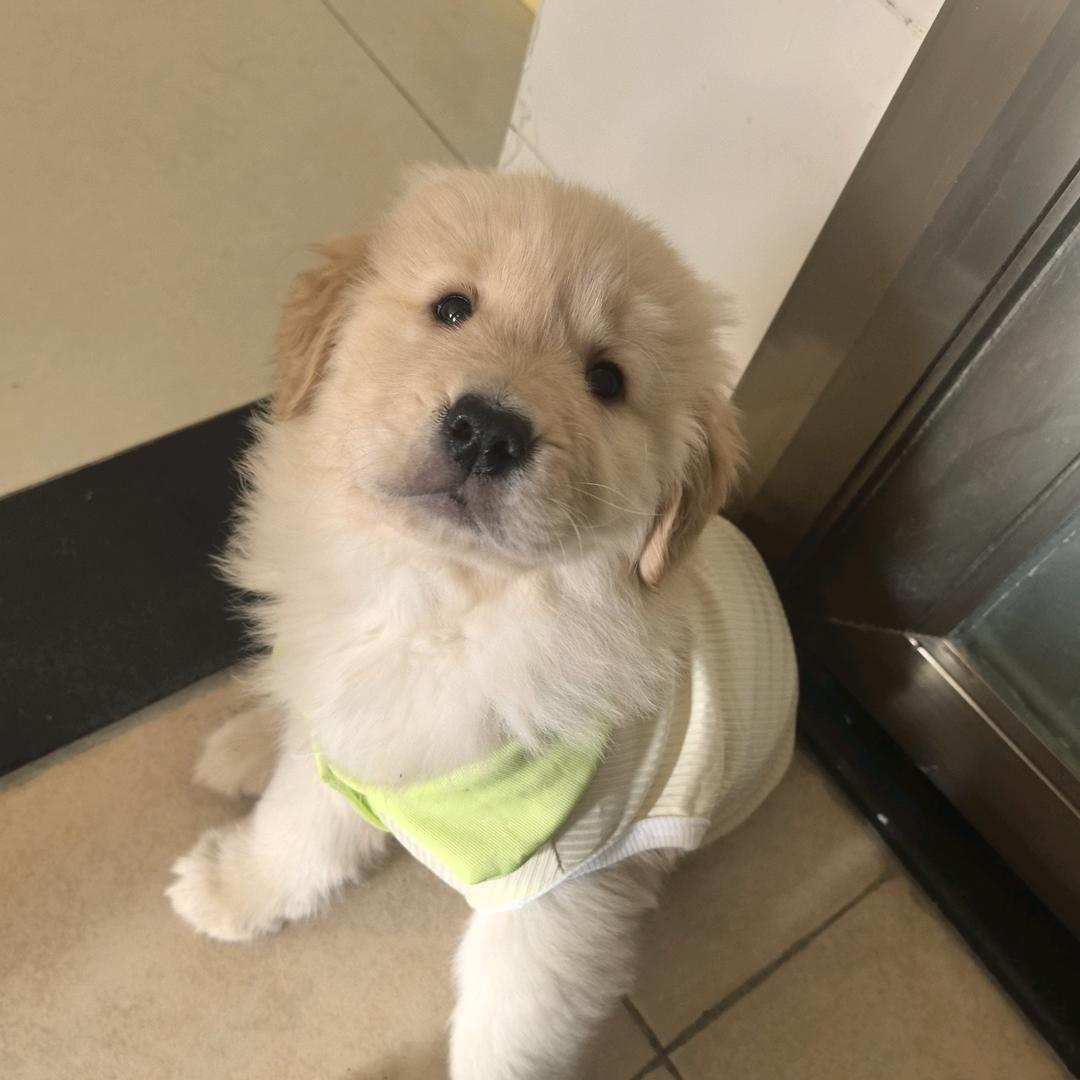 豆哥成长日记