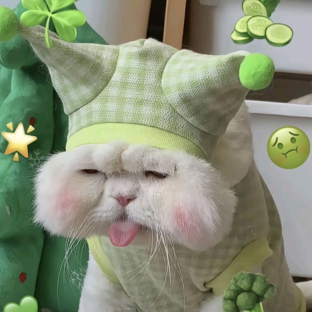 颜颜✌︎' ֊' 🥕~