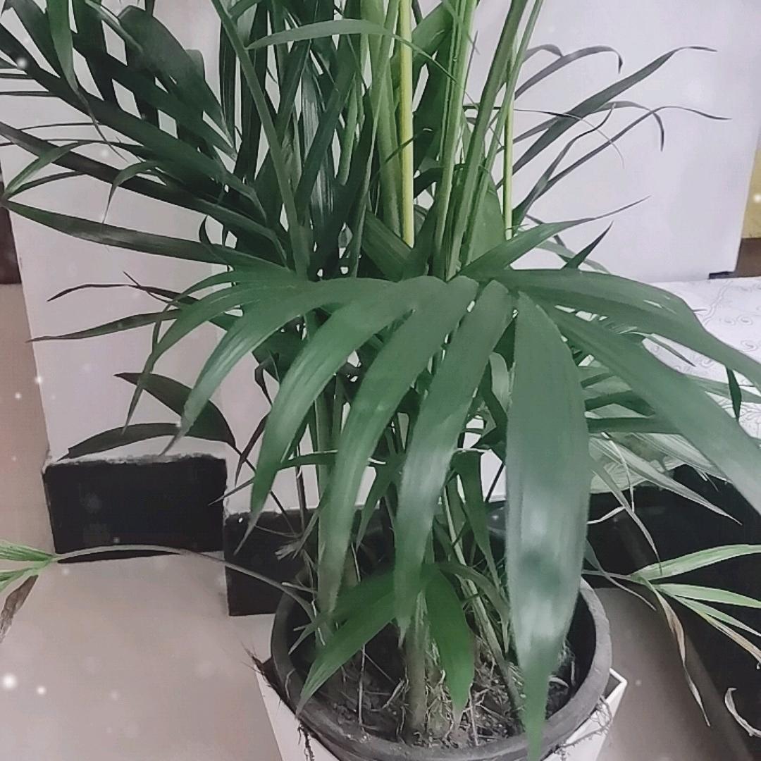 不九啊