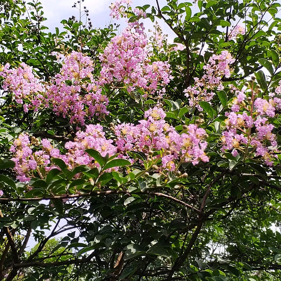 照亮前程