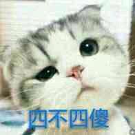 我是最胖的