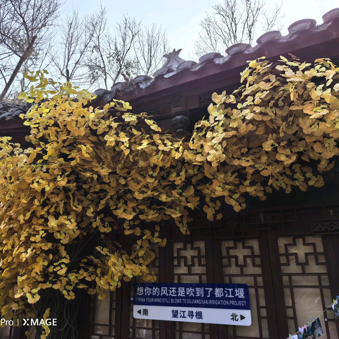 এ᭄余温散尽 ꦿོ࿐