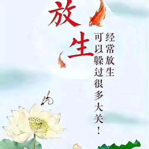 放生求缘