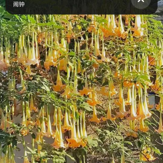 我曾经…………