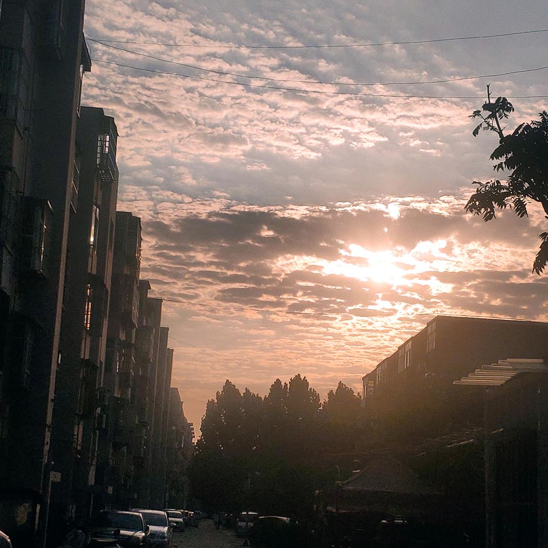 褪色的承诺