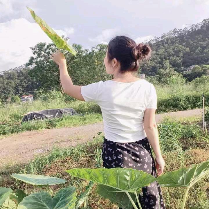 艳儿