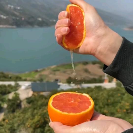 橙心🧡橙意