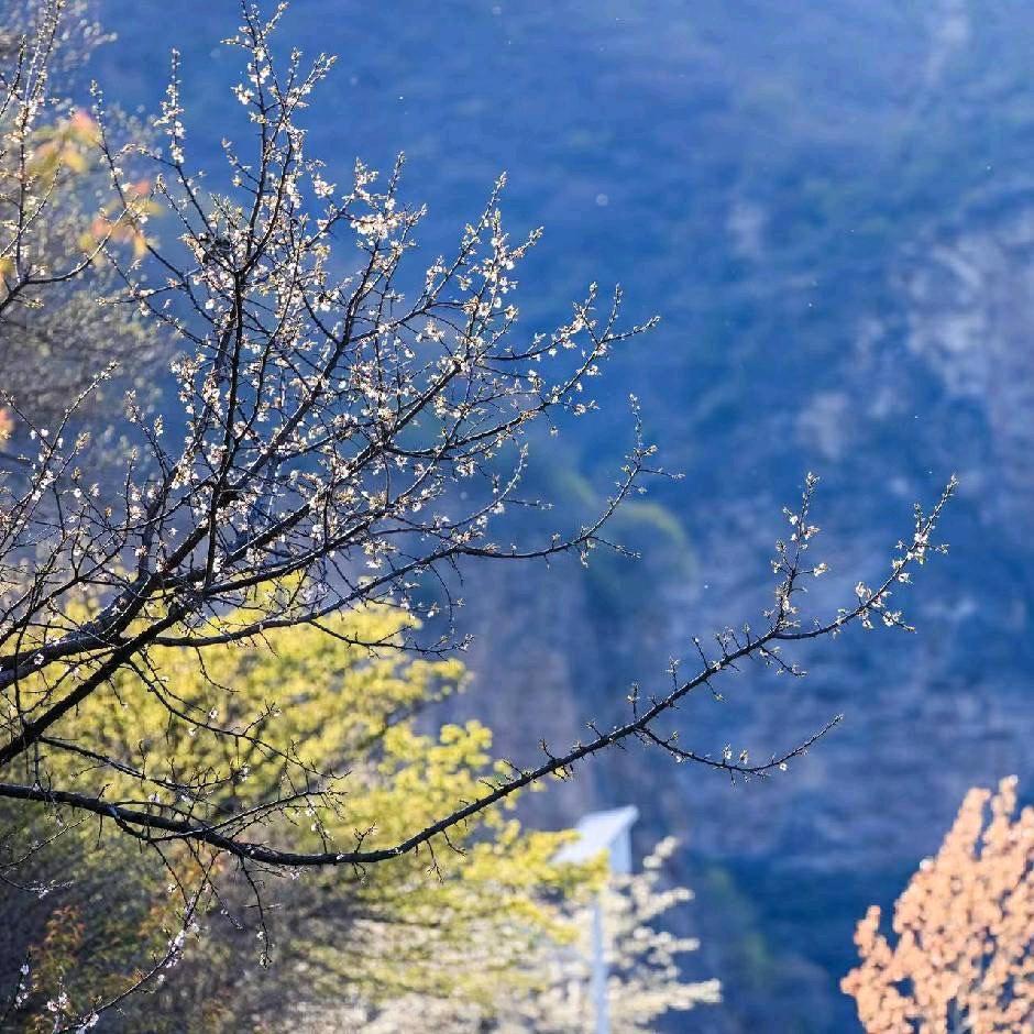 吃饱了