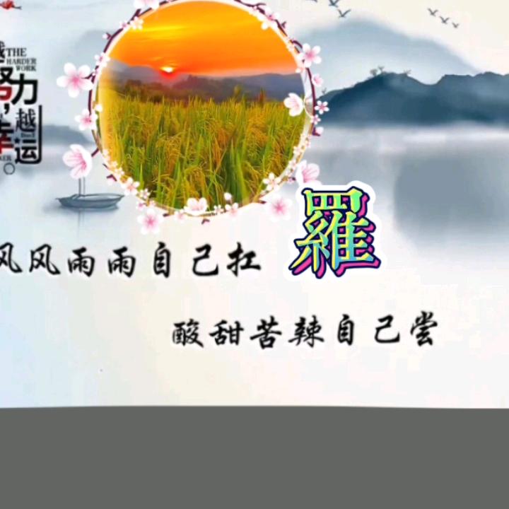 星哥