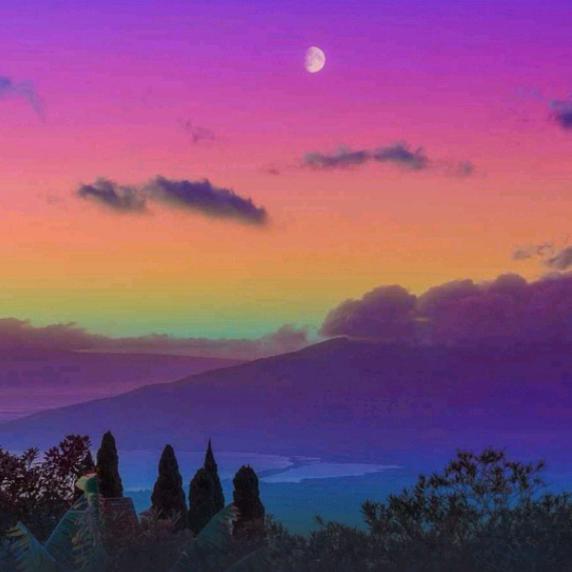 蛋仔主播田晶晶~~~