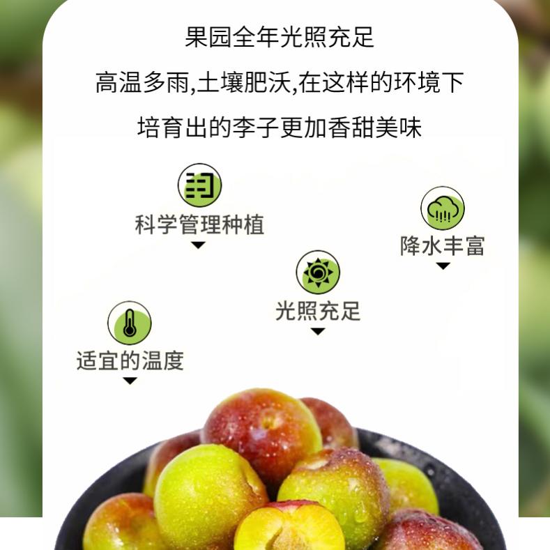 钦典农家鲜果