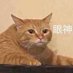 Rainwail