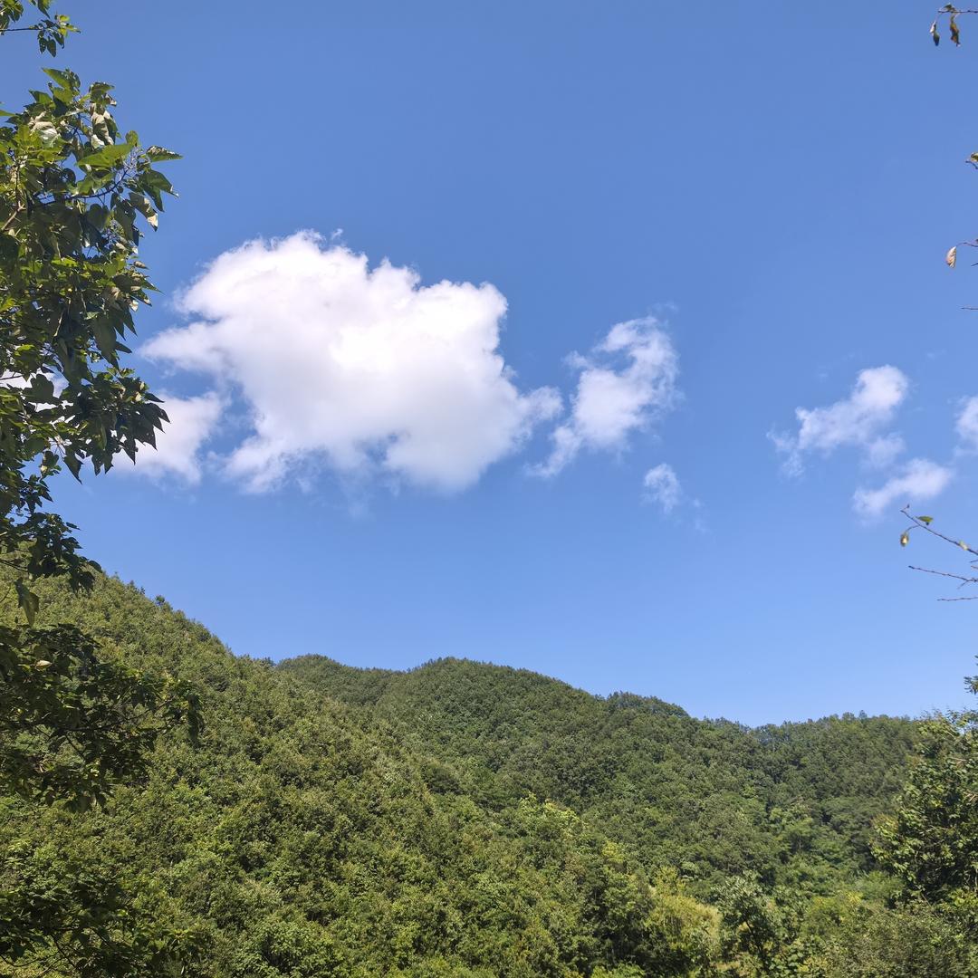 秋雨微凉