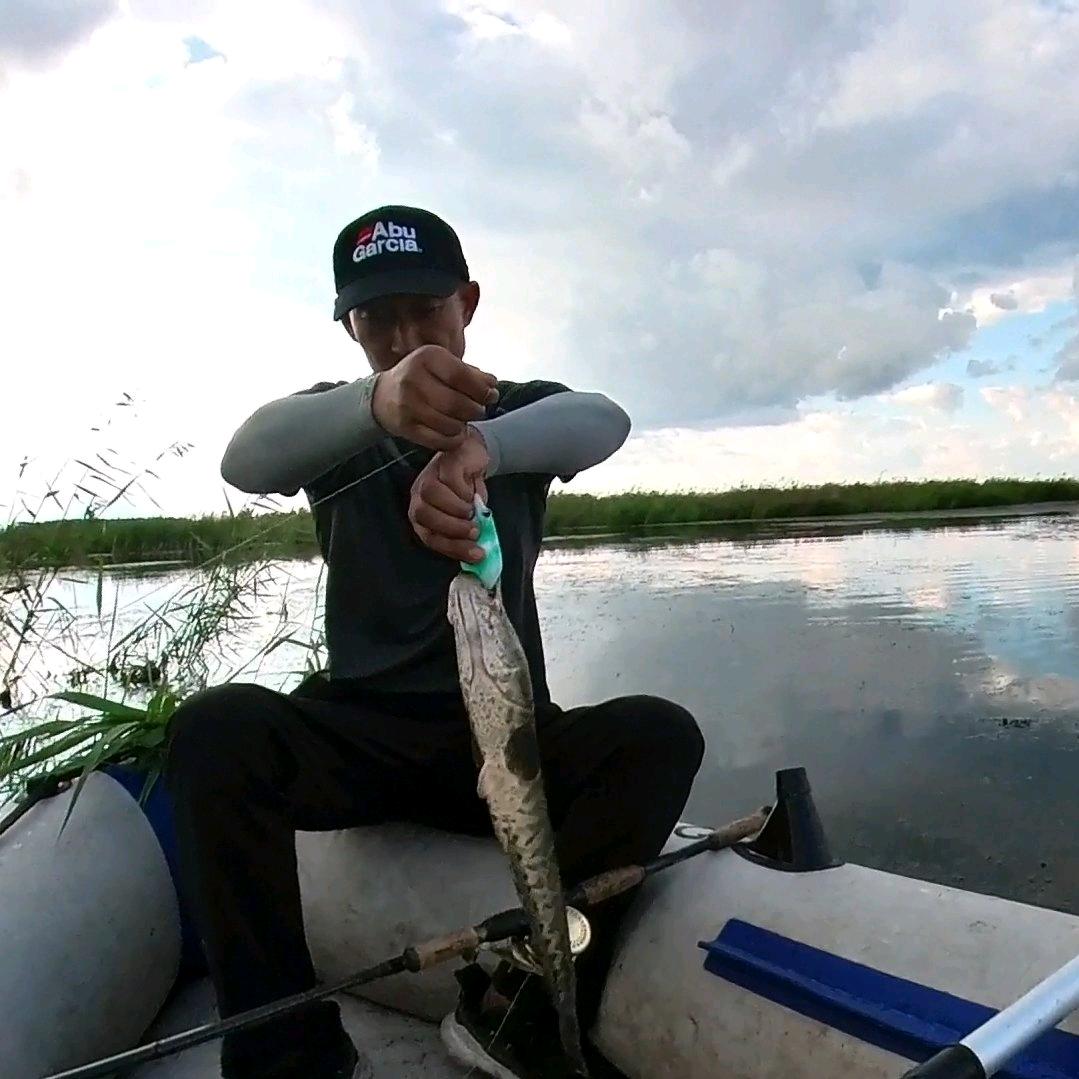 哈尔滨老白（雷强）