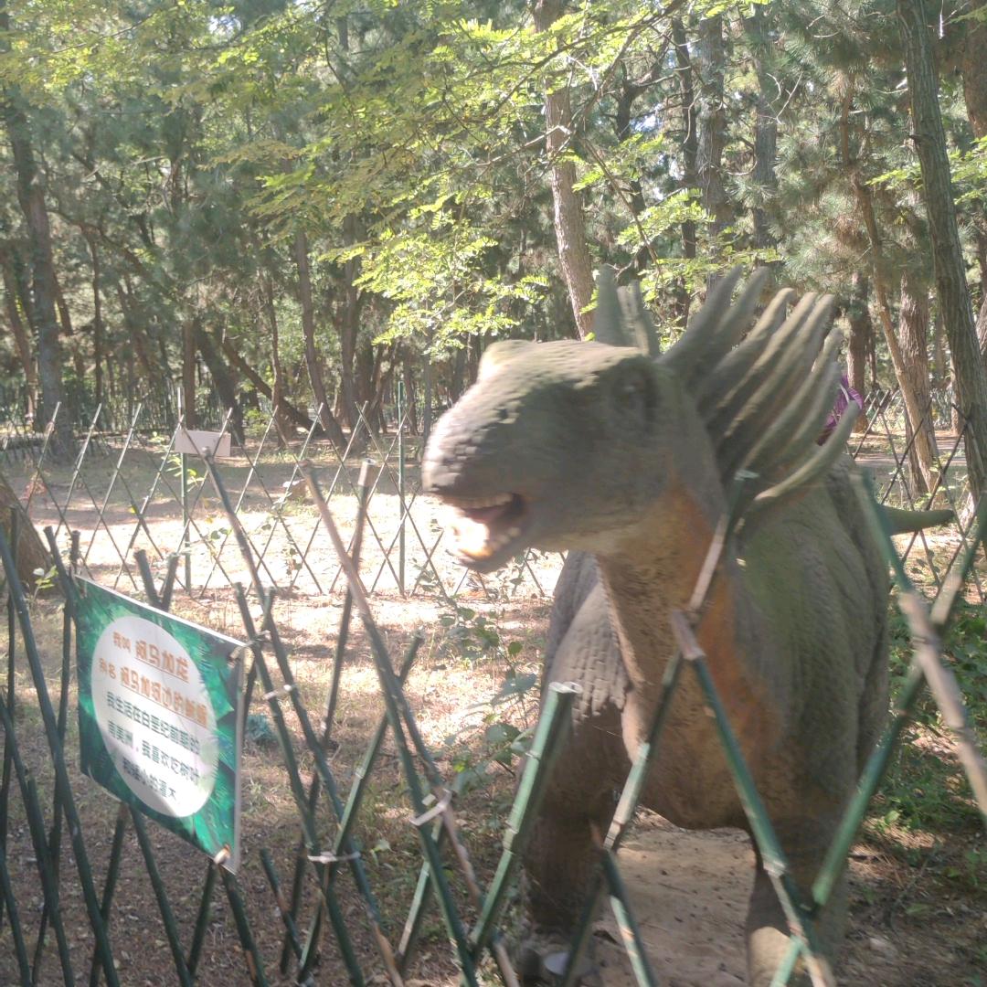 半程客