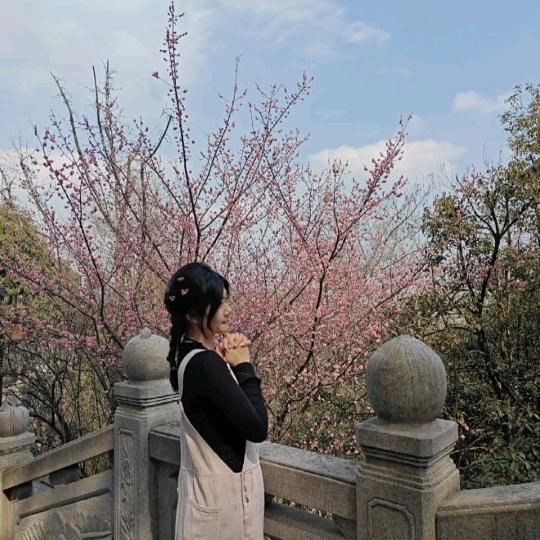 毛毛菜小助理~