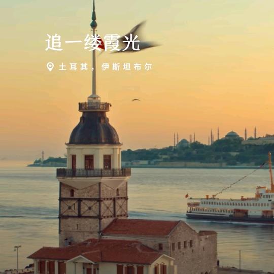 黎黎塘沽