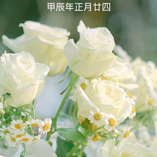 秋秋卖正宗猪肉金利巷21号