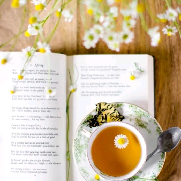 繁星‵似春茶