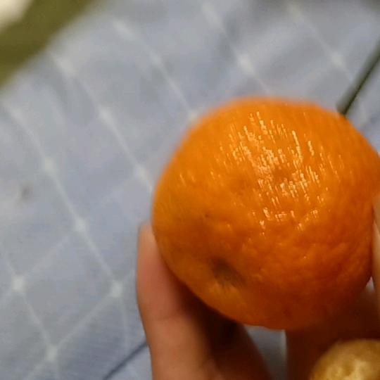 宅男抖推猫推广