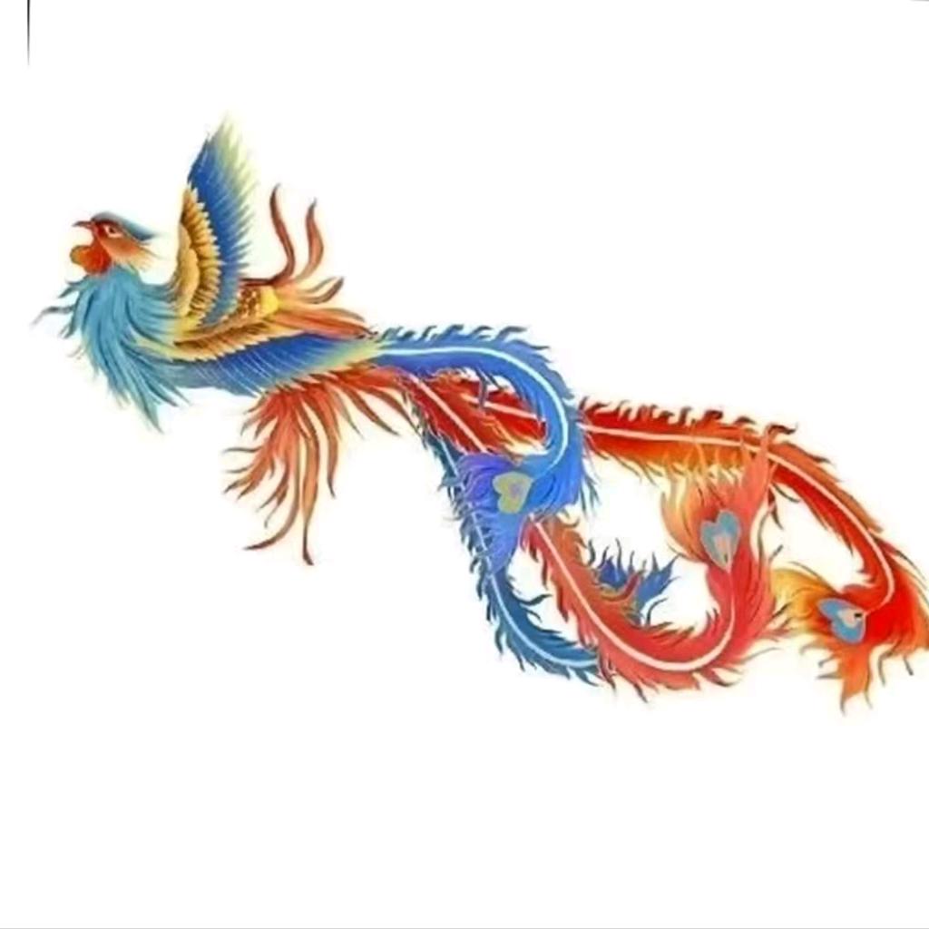 大婉婉