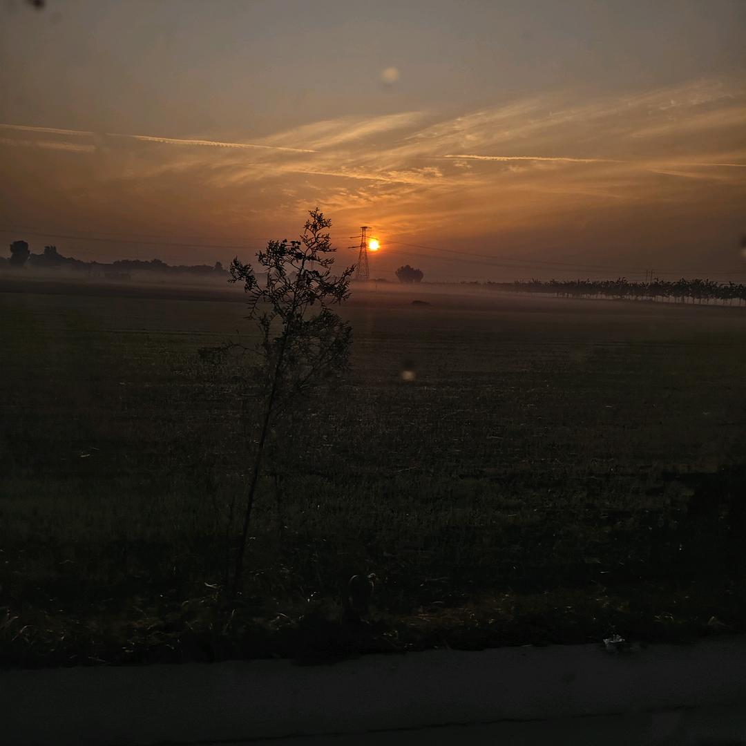 ✨⚡️🌈小喵咪🌈🌈