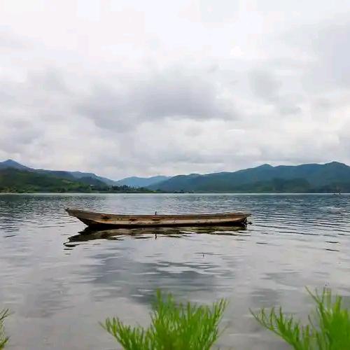 一路向阳。