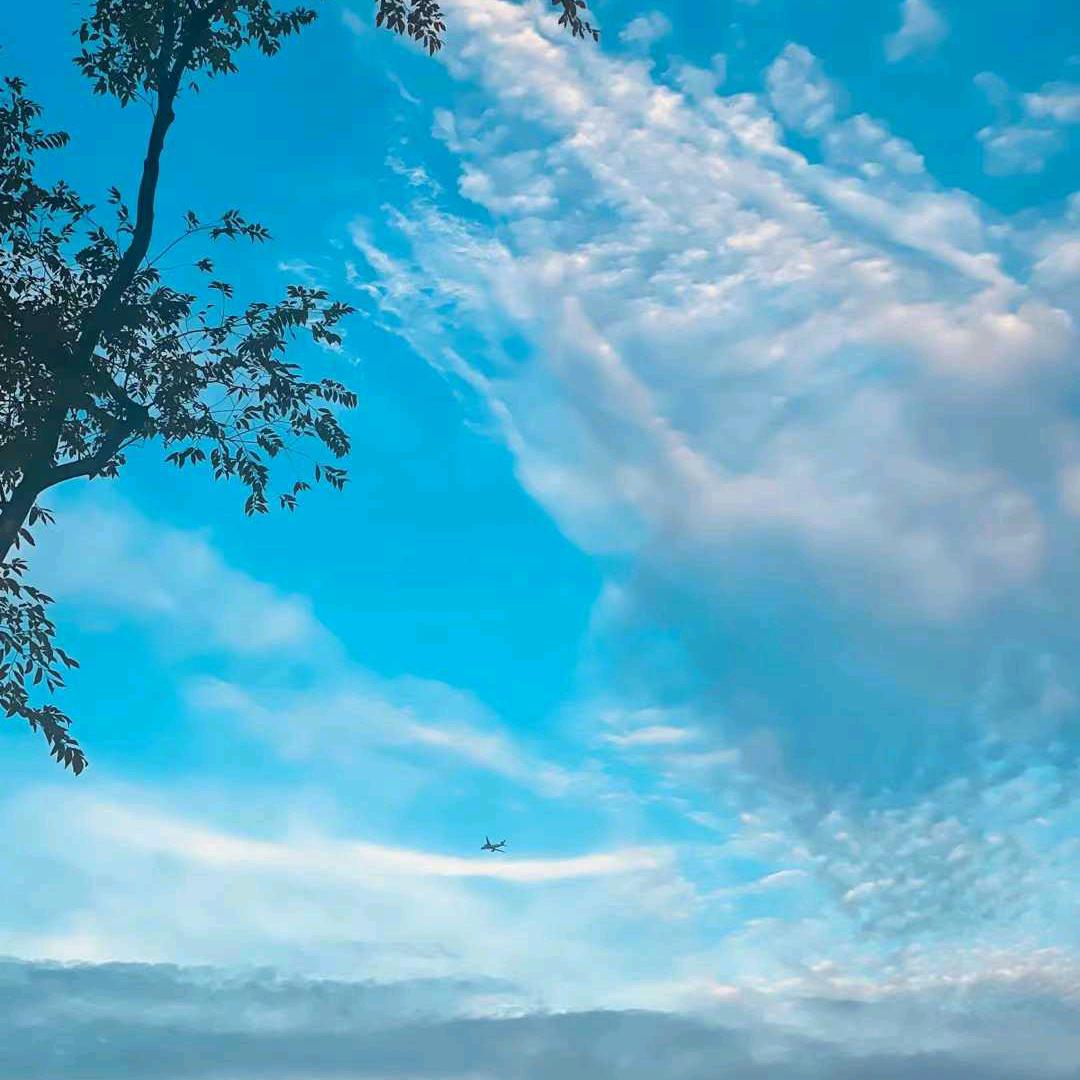 思雨